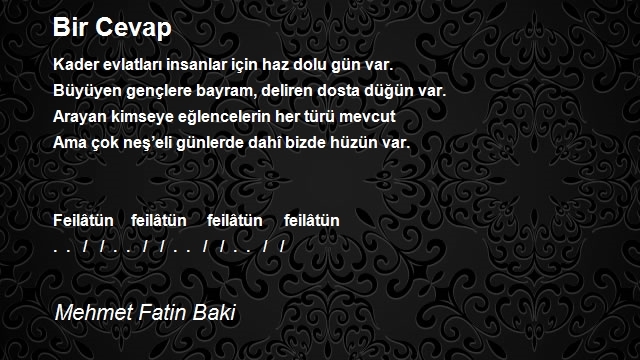 Mehmet Fatin Baki