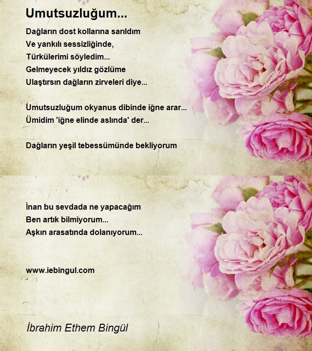 İbrahim Ethem Bingül