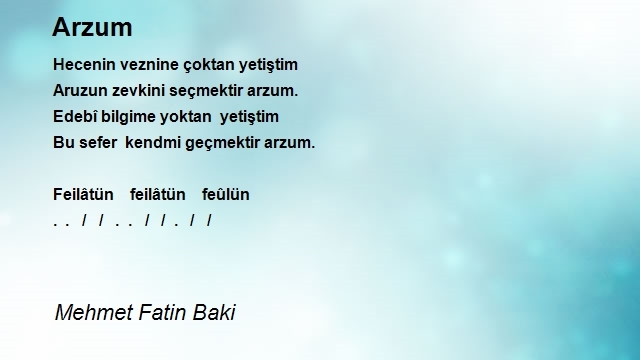 Mehmet Fatin Baki