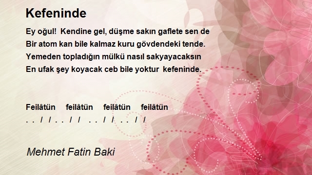 Mehmet Fatin Baki