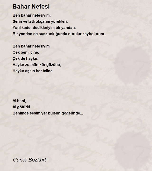 Caner Bozkurt