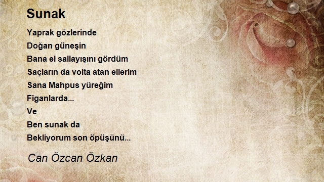 Can Özcan Özkan