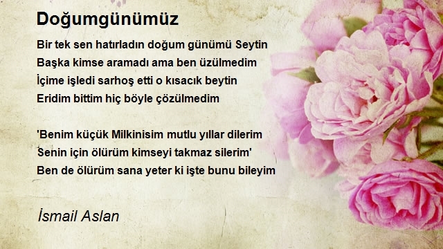 İsmail Aslan