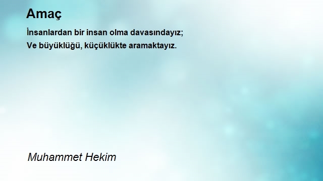 Muhammet Hekim