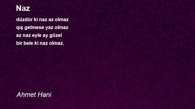 Ahmet Hani