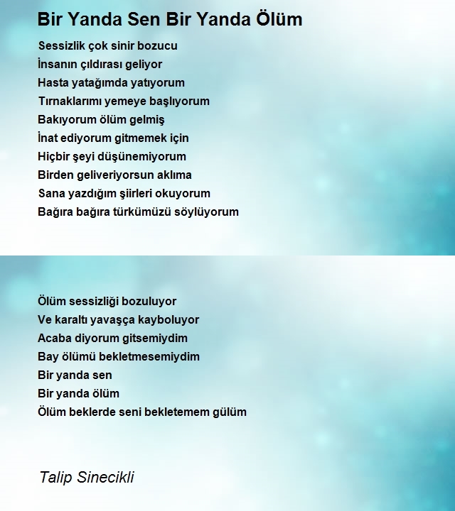 Talip Sinecikli