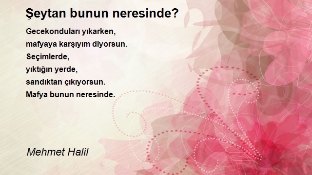 Mehmet Halil