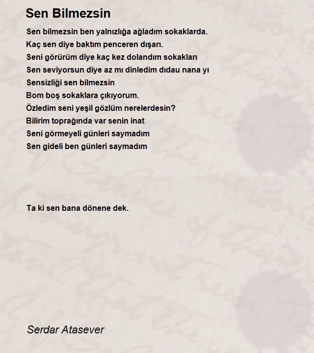 Serdar Atasever