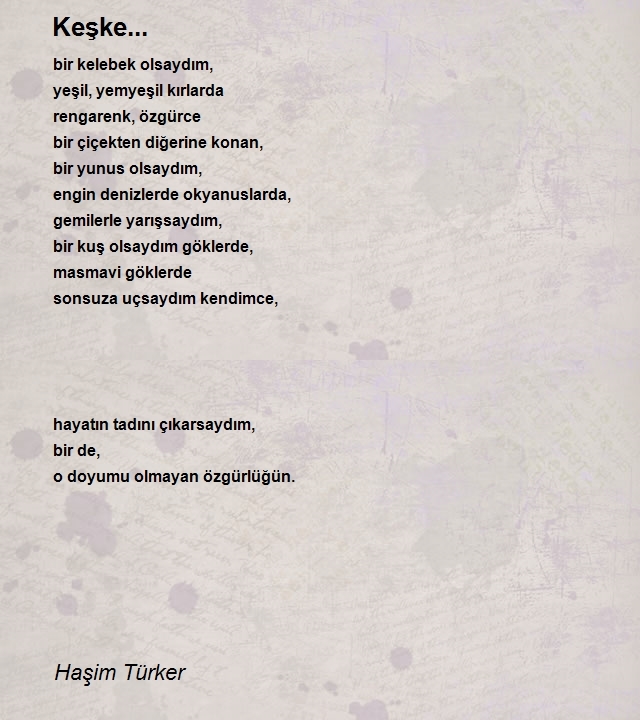 Haşim Türker