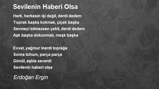 Erdoğan Ergin