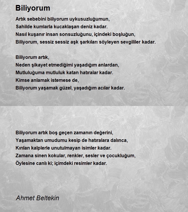 Ahmet Beltekin