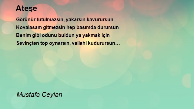 Mustafa Ceylan