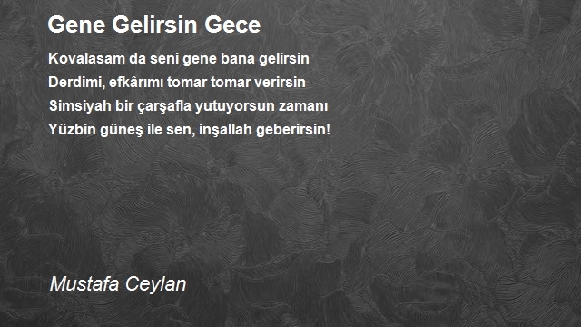 Mustafa Ceylan