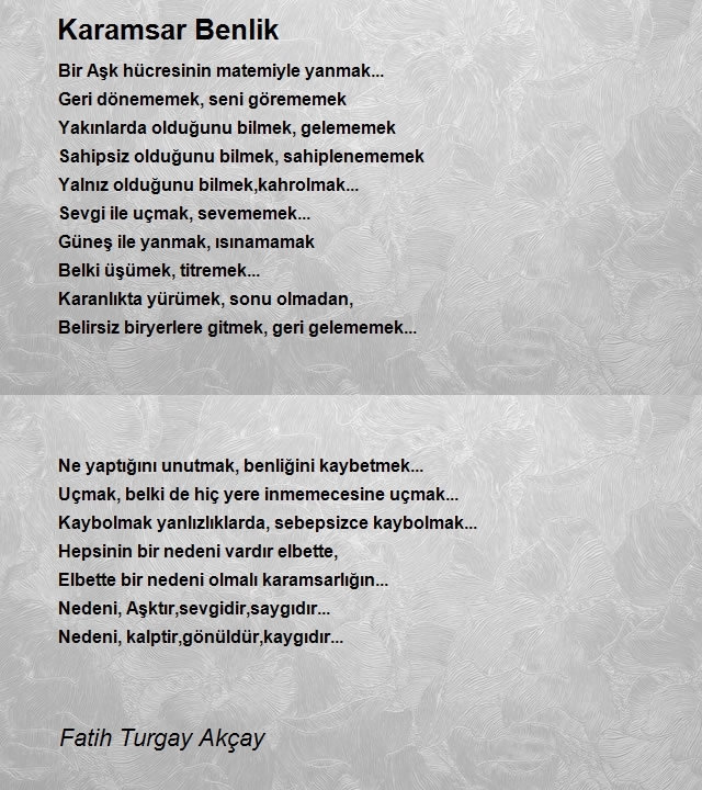 Fatih Turgay Akçay