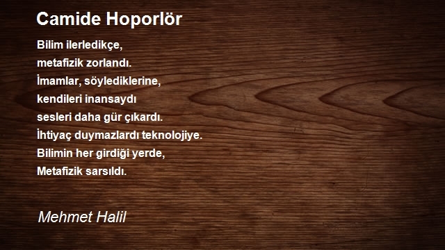 Mehmet Halil