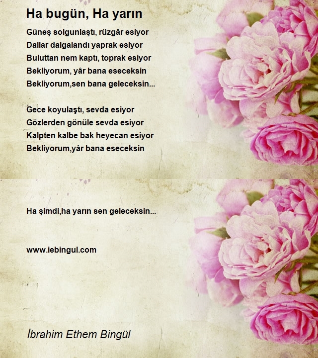 İbrahim Ethem Bingül