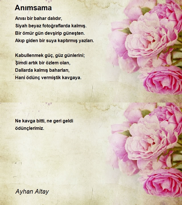 Ayhan Altay