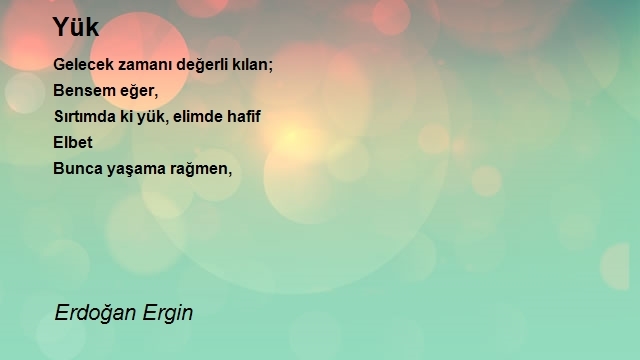 Erdoğan Ergin