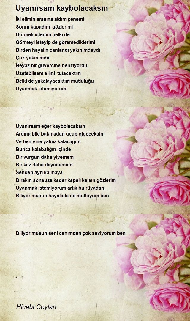 Hicabi Ceylan