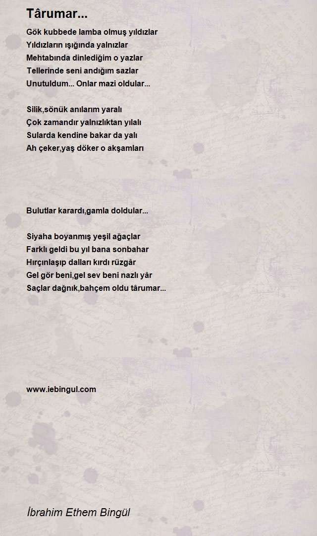 İbrahim Ethem Bingül