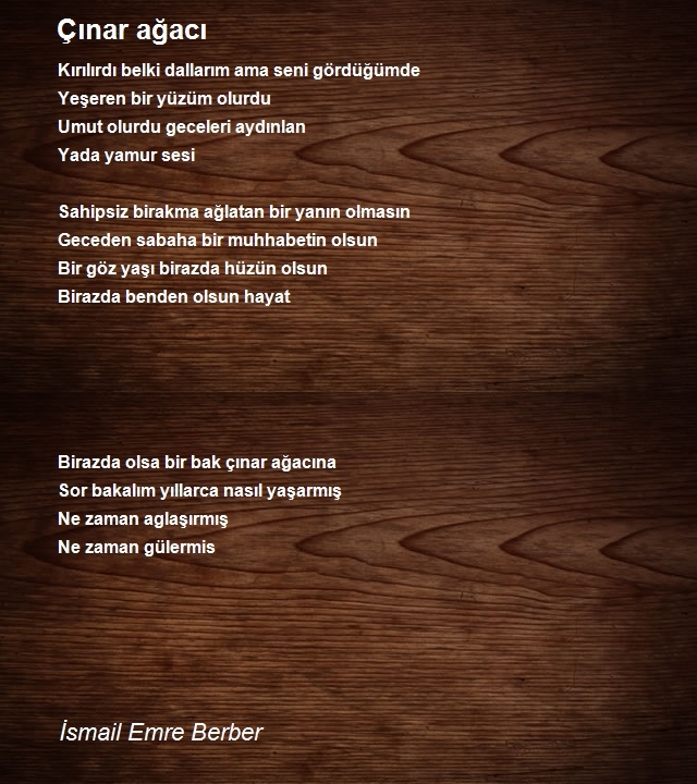 İsmail Emre Berber