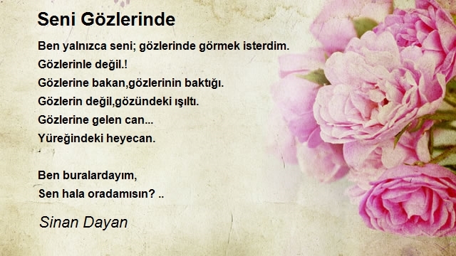 Sinan Dayan