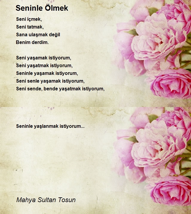 Mahya Sultan Tosun