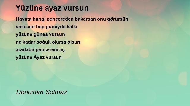 Denizhan Solmaz