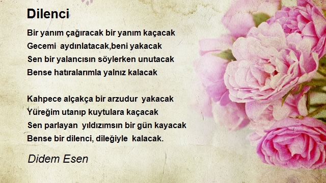 Didem Esen