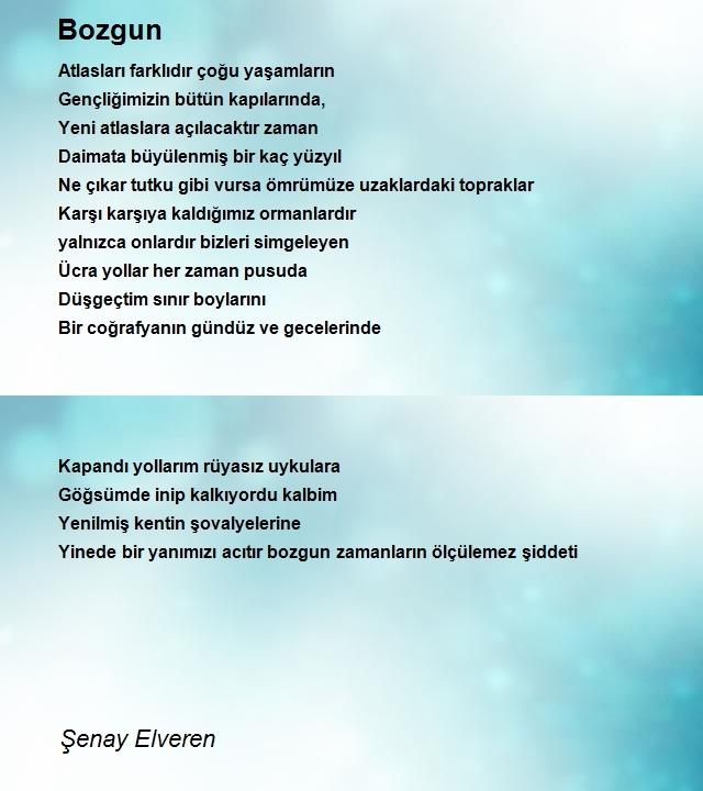 Şenay Elveren