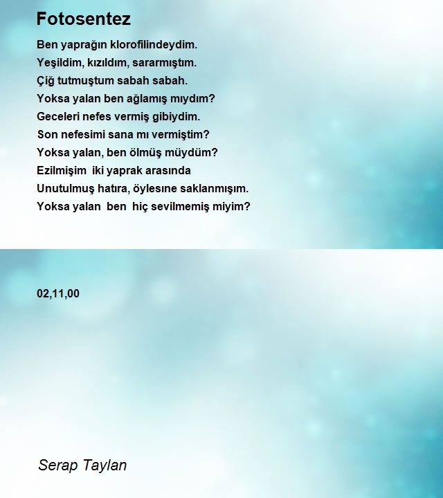 Serap Taylan