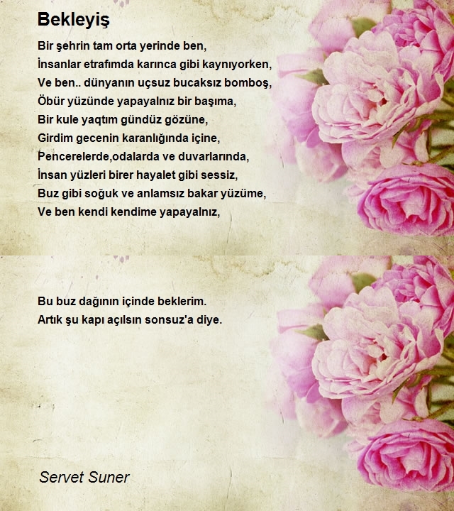 Servet Suner