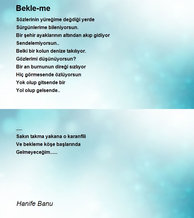 Hanife Banu