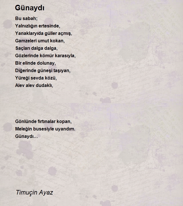 Timuçin Ayaz