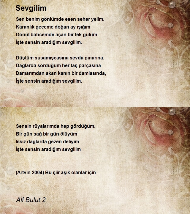 Ali Bulut 2