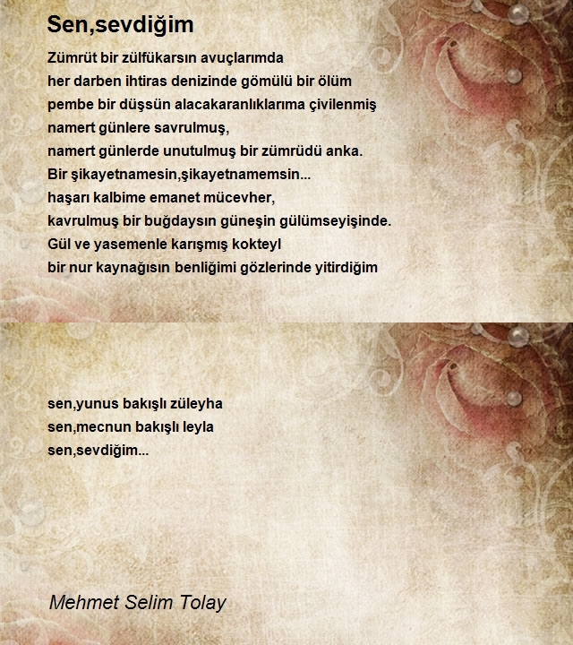 Mehmet Selim Tolay