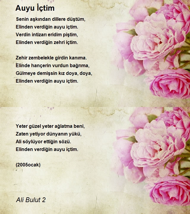 Ali Bulut 2