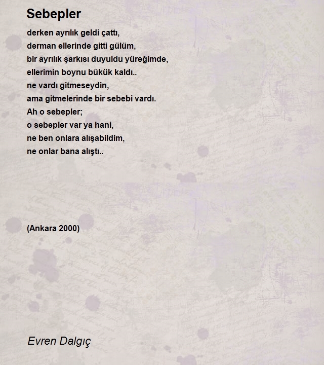 Evren Dalgıç