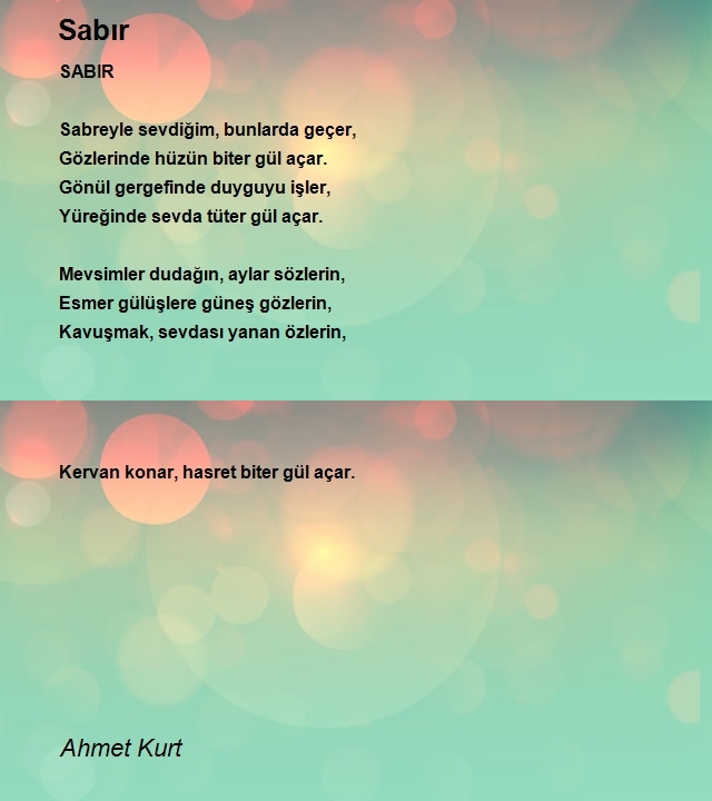 Ahmet Kurt