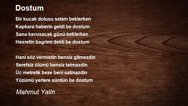 Mahmut Yalin