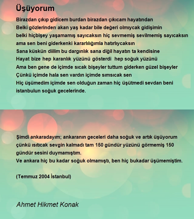 Ahmet Hikmet Konak