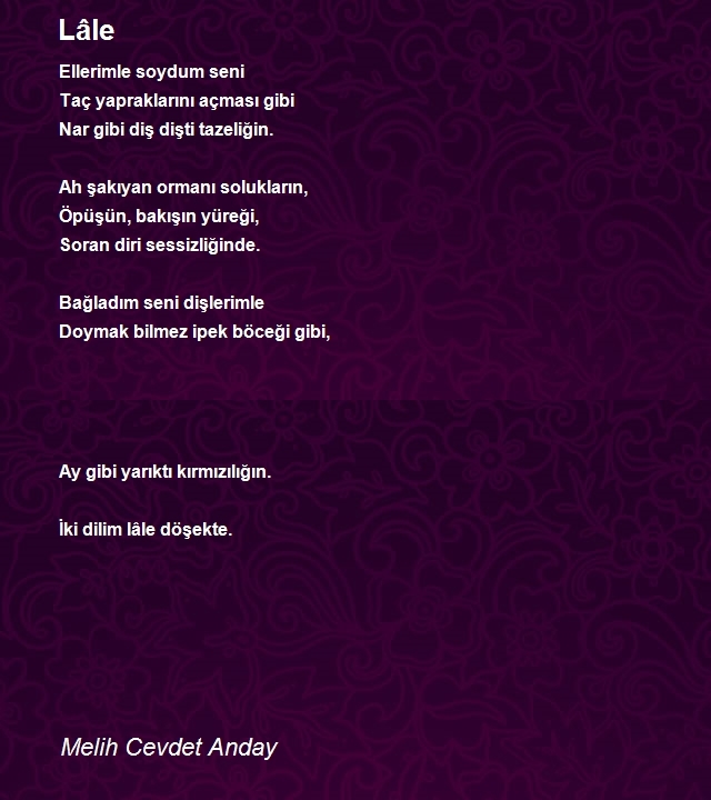 Melih Cevdet Anday