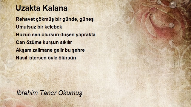 İbrahim Taner Okumuş