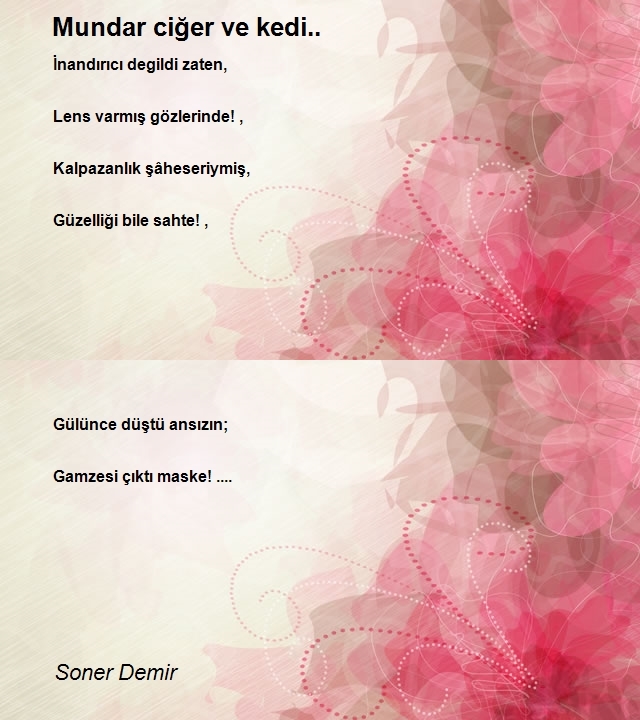 Soner Demir