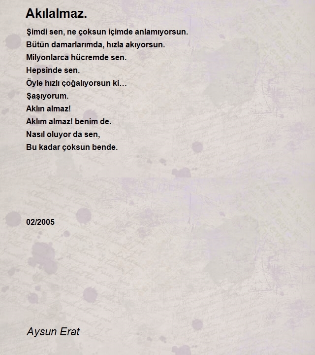 Aysun Erat