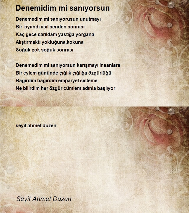 Seyit Ahmet Düzen