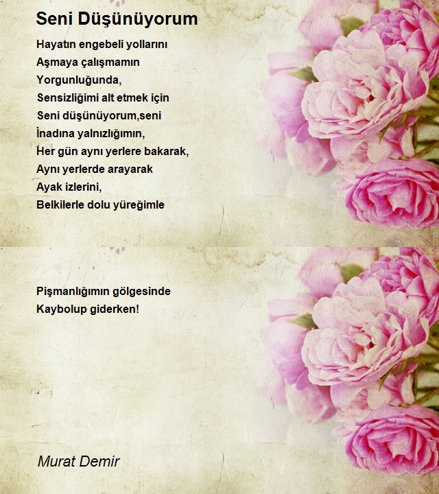 Murat Demir