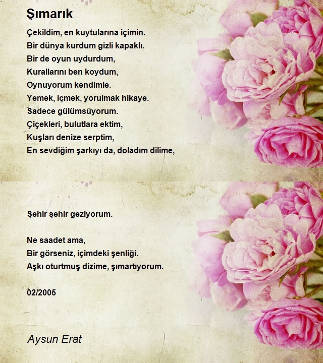 Aysun Erat