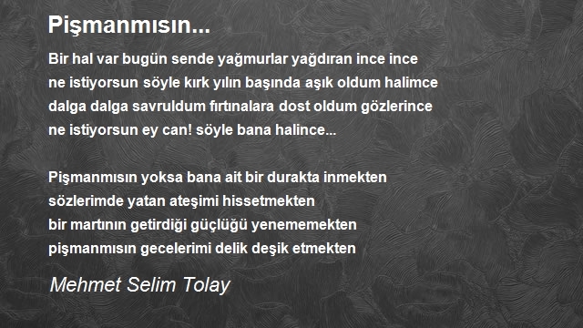 Mehmet Selim Tolay