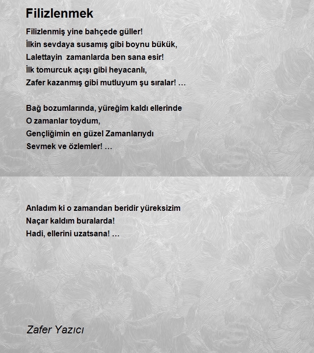 Zafer Yazıcı